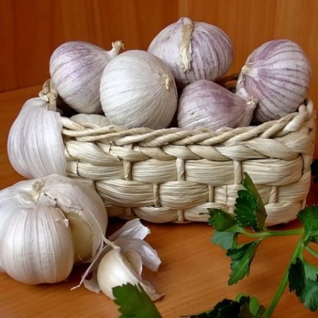 Чеснок от многих болезней